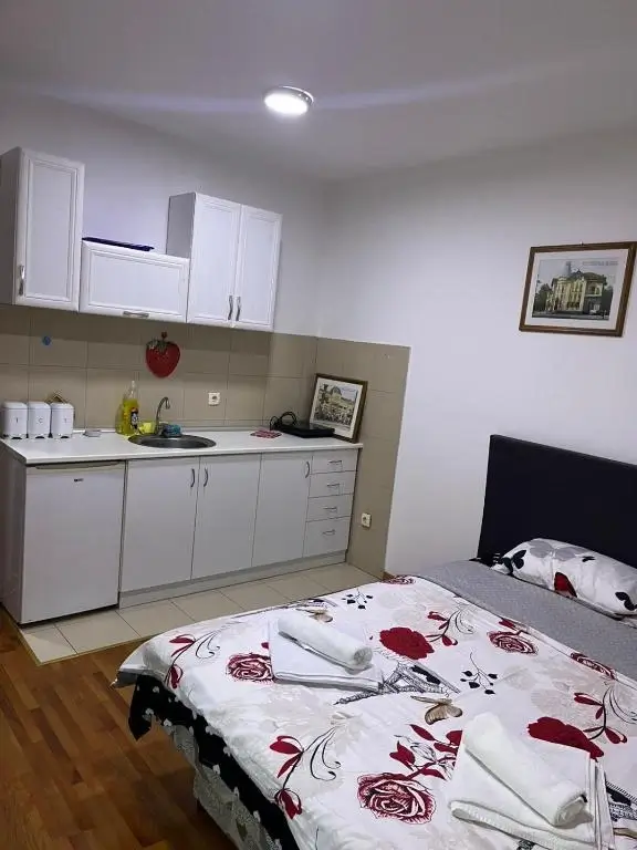 Apartman Anka - Francuski ležaj apartmana Natura sa pogledom prema kuhinji - Apartmani Vrnjačka Banja